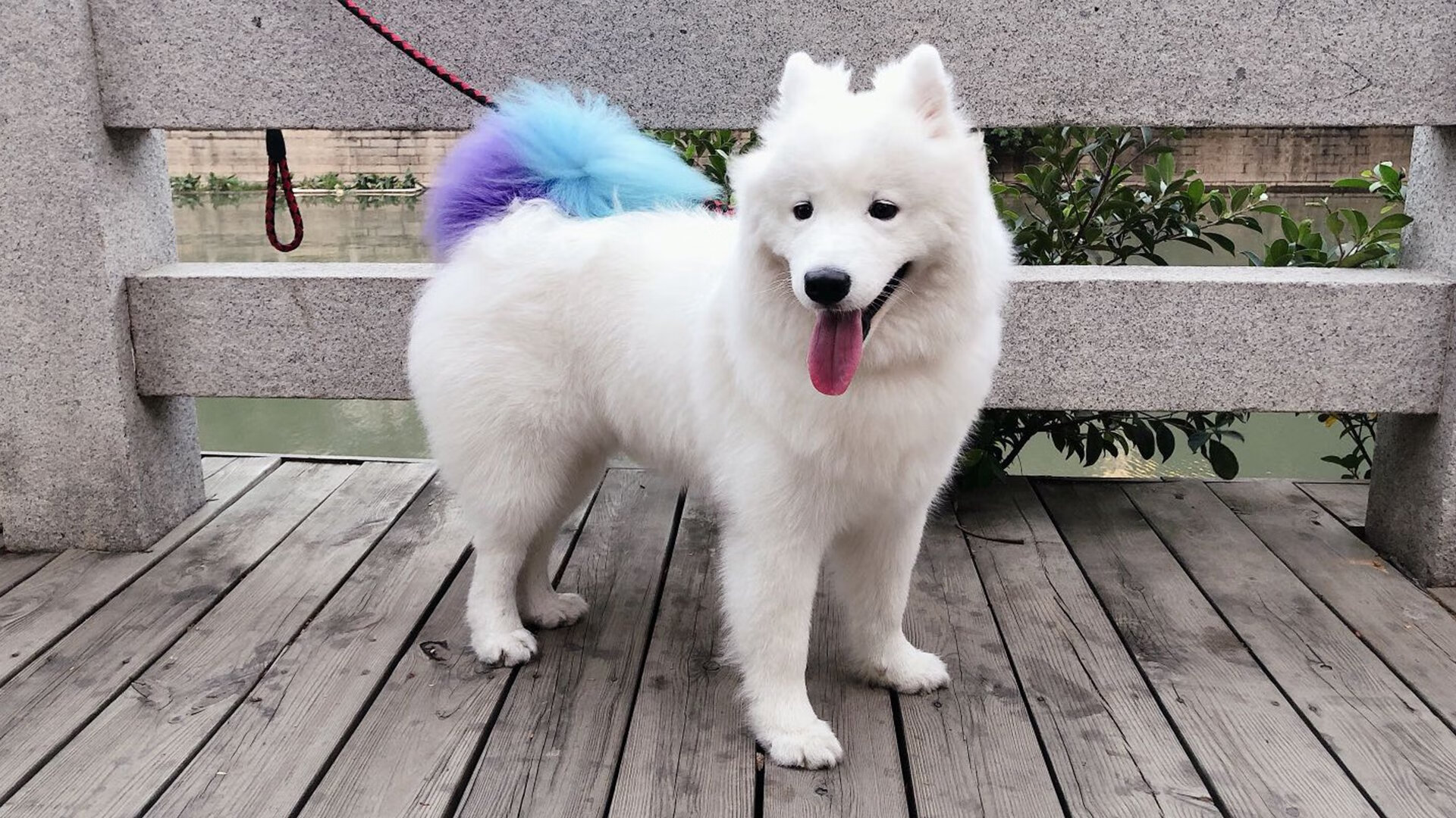 当雷霆勇士战至终章，跨越时空的詹姆斯法则