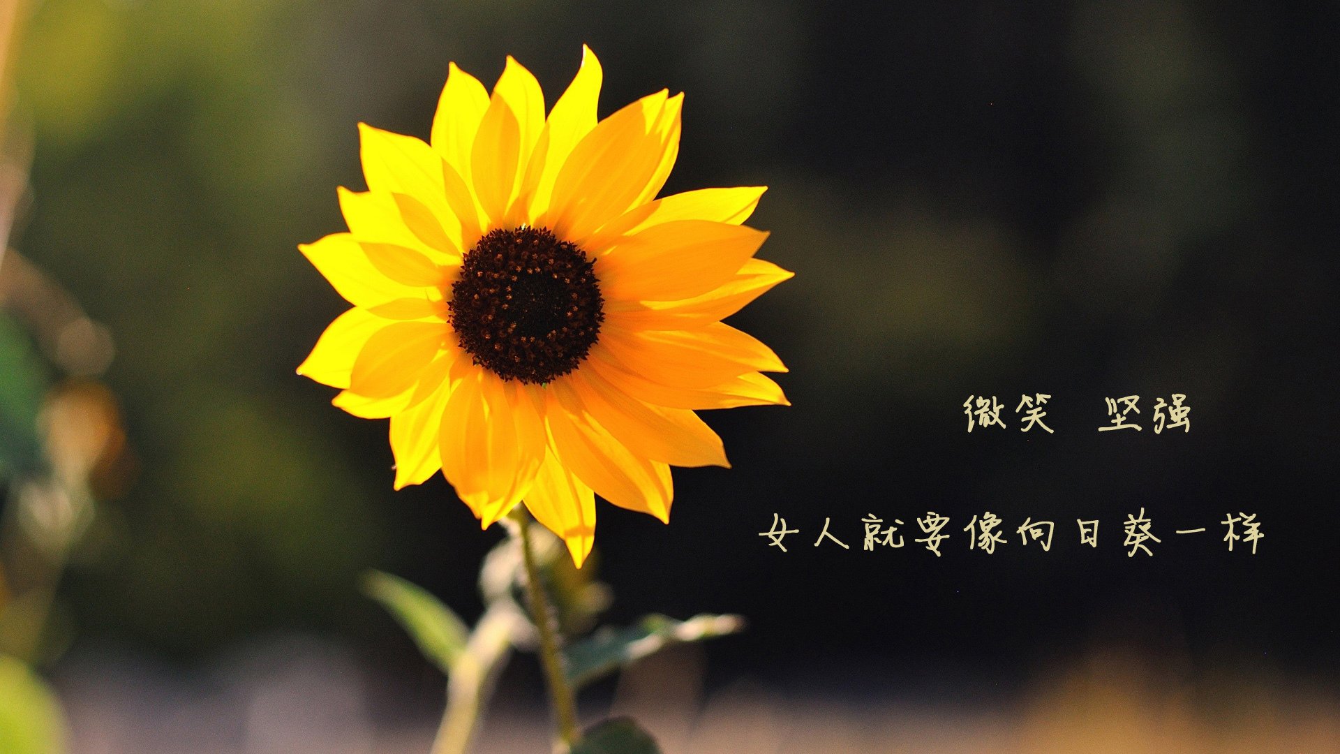 跨界风暴，墨西哥足球轻取切尔西，孔德在NBA季后赛接管比赛