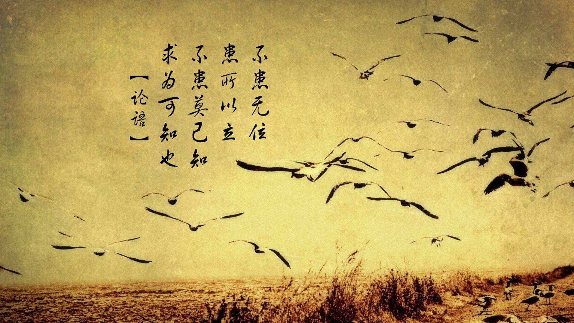 沙漠之狐的怒吼,2026世界杯出线战,突尼斯完胜乌兹别克斯坦,孙兴慜独造三球引爆进攻狂潮